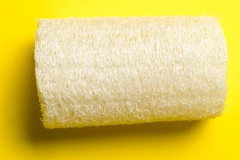 Luffa sponge for zero waste dish washing or bath Stock Photos