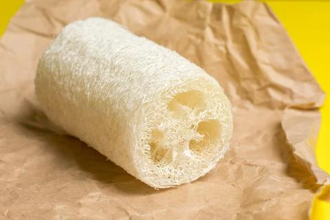 Luffa sponge for zero waste dish washing or bath Stock Photos