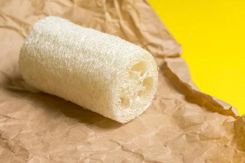 Luffa sponge for zero waste dish washing or bath Stock Photos