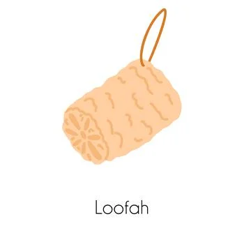 Luffa vegetable zero waste sponge in catoon flat style. Eco friendly loofah Stock Illustration