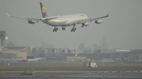 Lufthansa Airbus A340 Passenger Airplane Landing, Airport in Background, Sunrise Stock Footage 172143010