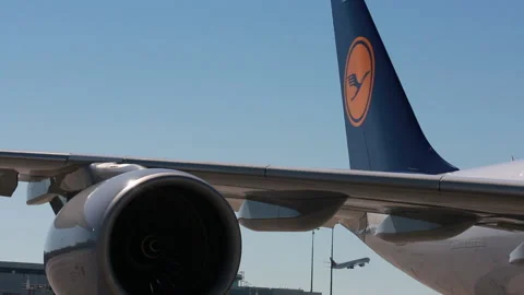 Lufthansa Tail Blue Sky and Plane Departing in Background Stock Footage 219374427