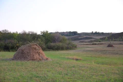 ЛУГ, Meadow Stock-Fotos