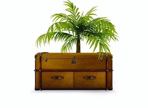 Luggage in 3D Stock Illustration