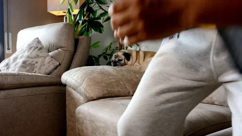 Luis1 Stock Footage 129316307