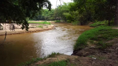 LUKALA RIVER IN A TROPICAL FOREST IN CONGO KINSHASA Stock Footage 285893205