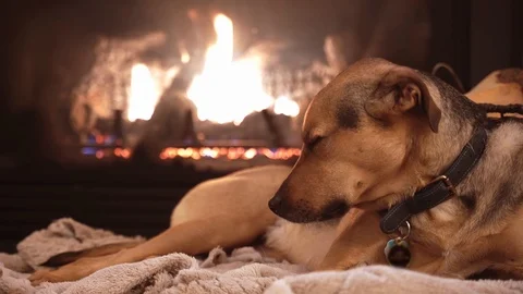 Luke Chilling Stock Footage 107690853