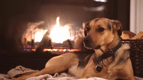 Luke Chilling Stock Footage 107690854