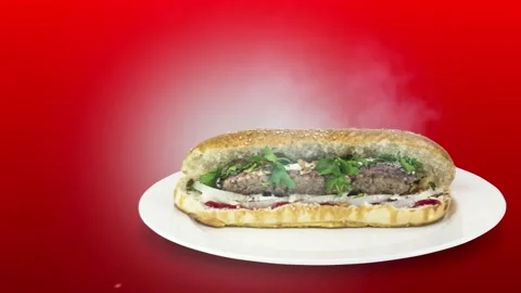 Lule kebab in bread on red background direction from right to center Stock Footage 135127318