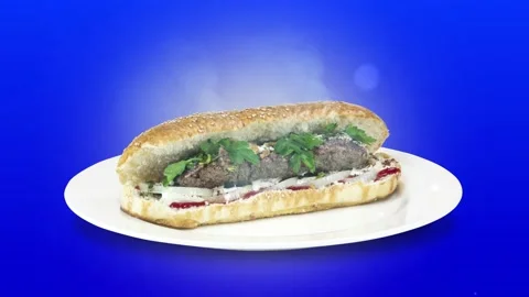Lule kebab in bread on white plate the served with greens, onions, mayonnaise Stock Footage 134471335