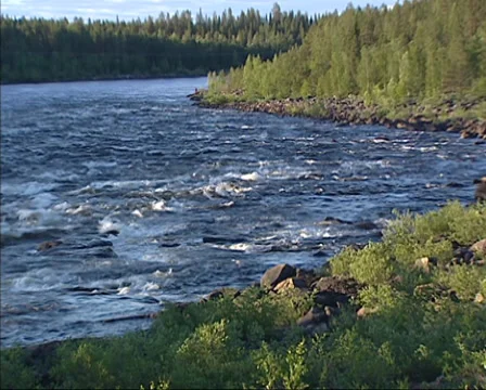 Lule river flowing through arctic forest, midsummernight Stock Footage 32419674