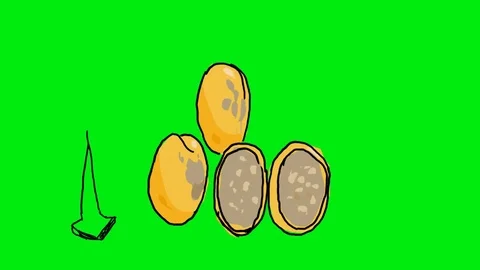 Lulo naranjilla - Hand Drawn - Green Screen Stock Footage