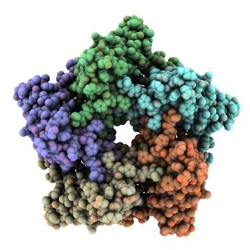 Lumazine synthase, molecular model Stock Illustration