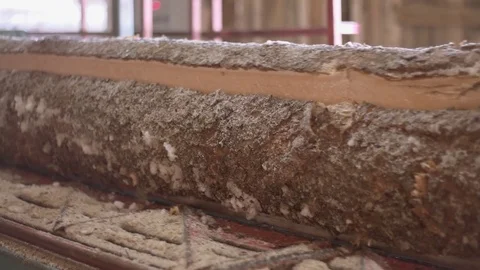Lumber board cutted of log on carpenter machine at sawmill factory Stock Footage 85211271