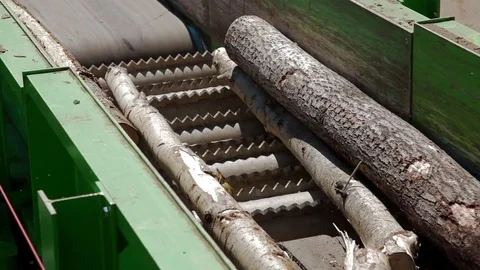 Lumber factory Conveyors of logs sorting machine Stock-Footage 70643588