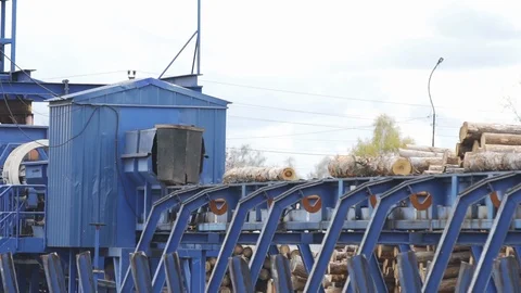 Lumber factory Conveyors of logs sorting machine. Wheel loader and automatic Stock Footage 126411068