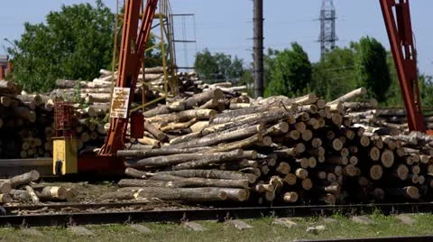 Lumber Stock Footage 11684610