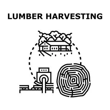 Lumber harvesting process converting forest timber into wood Stock Illustration