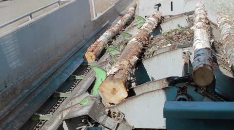 Lumber industry Conveyors of logs sorting machine Stock Footage 63456922
