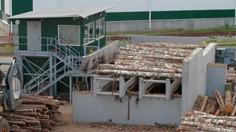 Lumber industry Conveyors of logs sorting machine Stock Footage 63457797