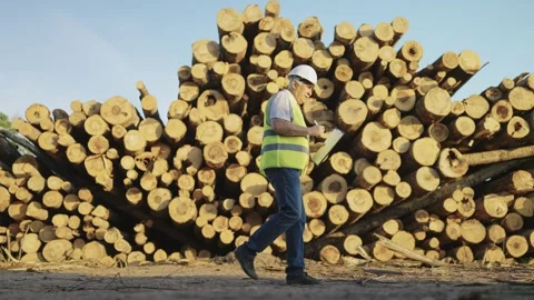 Lumber industry engineer in overalls on background of sawn logs. Slow motion Stock Footage 242625106