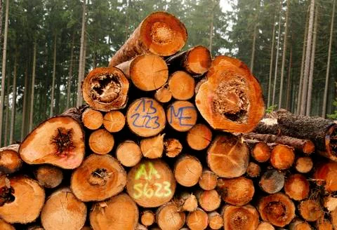 Lumber industry Stock Photos