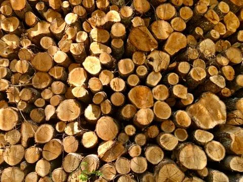 Lumber Industry Stock Photos