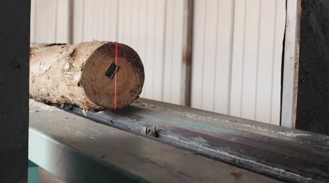 Lumber industry - Pine logs moving through the pipeline. Stock Footage 62508589