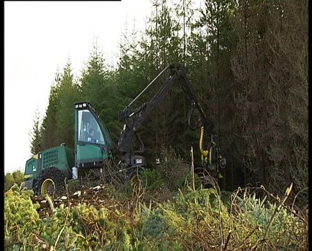 Lumber Jack Machine Stock Footage 670823