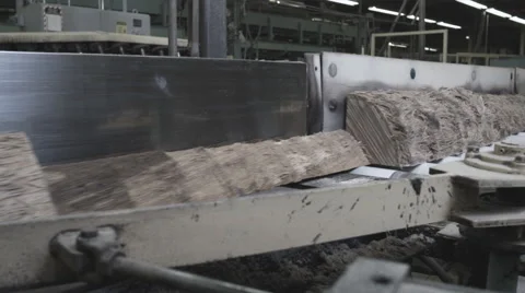 Lumber Mill Conveyor Stock Footage 63017672