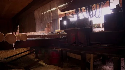 Lumber Mill De-Barking (4k) Video stock 168330418