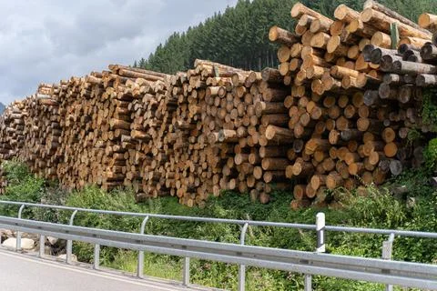 Lumber mill in Germany 스톡 사진