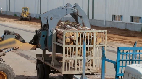 LUMBER MILL LOGGING TIMBER AND TREES FACILITY Stock Footage 63457187