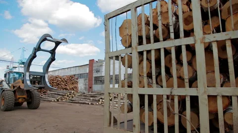 LUMBER MILL LOGGING TIMBER AND TREES FACILITY 스톡 동영상 63466745