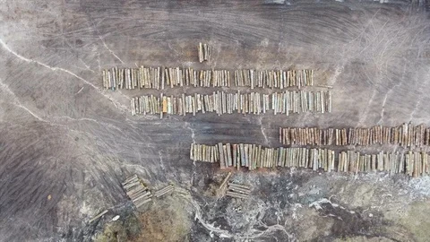 Lumber mill logs aerial Video stock 101124003