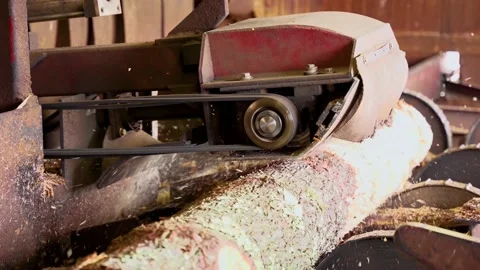 Lumber Mill Machine De-Barking (4k) Video stock 168330603