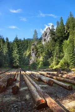 Lumber in mountains Stock Photos
