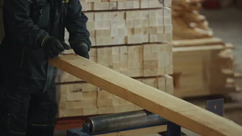Lumber Plank Placed On Woodwork Processing Workbench And Flipped By Worker Stock Footage 220772592