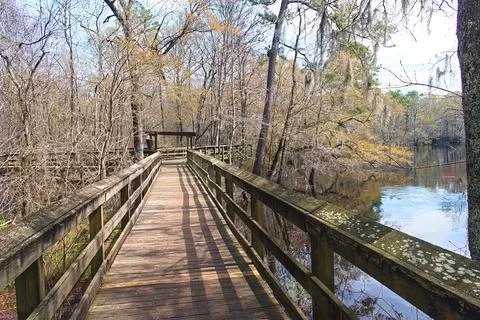 Lumber River Riverwalk Boardwalk Split Foto stock