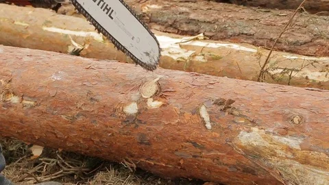 Lumber sawing Video stock 84085835