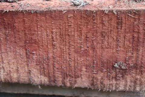 Lumber in a sawmill Foto stock