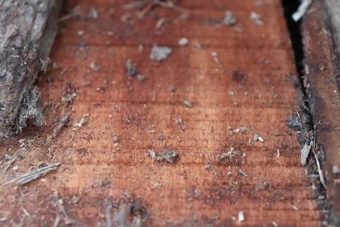 Lumber in a sawmill Stock Photos