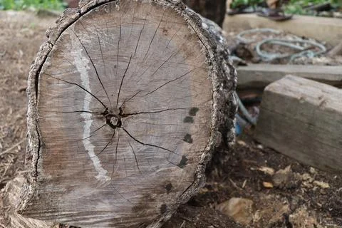 Lumber in a sawmill Stock Photos