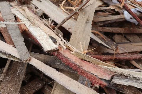 Lumber in a sawmill Foto stock