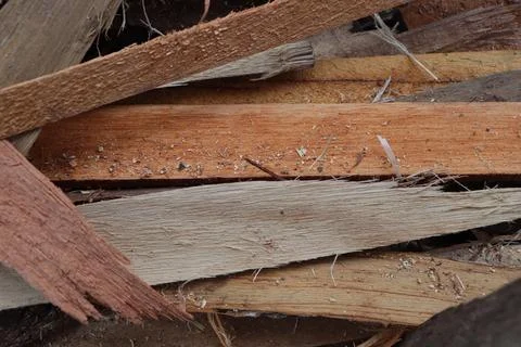 Lumber in a sawmill Foto stock