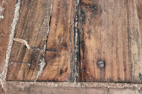 Lumber in a sawmill Foto stock