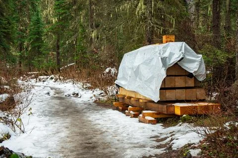 Lumber stack covered on a snowy forest path, awaiting its journey ahead. Foto stock