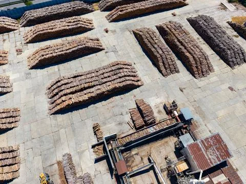 Lumber stacked in a yard showing rows of wood and equipment under a clear s.. Stock Photos