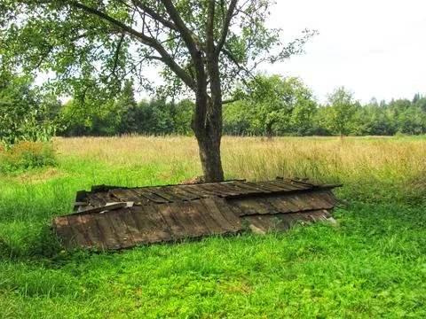 Lumber Storage Stock Photos