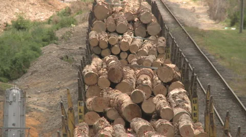 Lumber train rear end Stock Footage 940346